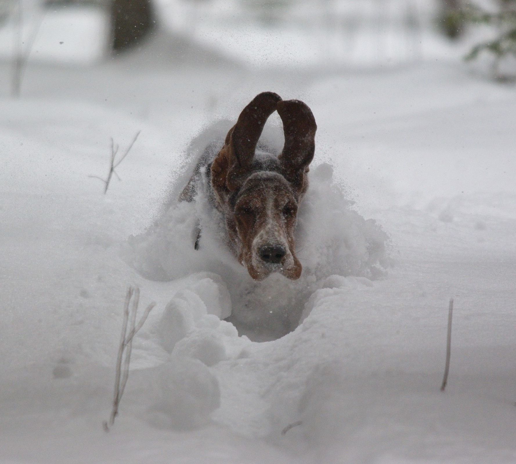 Spring Will Be a Little Late This Year